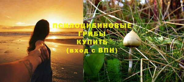 прущие грибы Горнозаводск