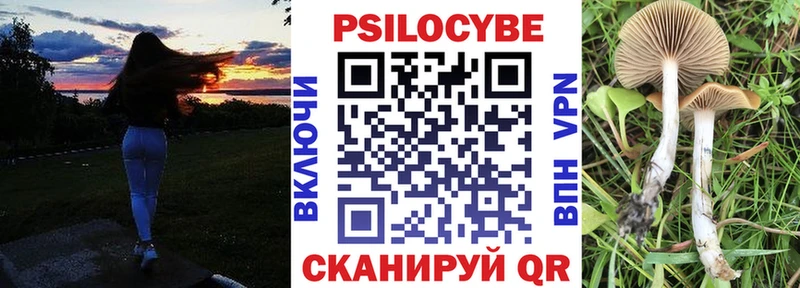 Галлюциногенные грибы прущие грибы  Зея 